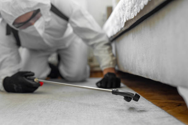 Professional Bed Bug Control technician working in West Monroe, MI