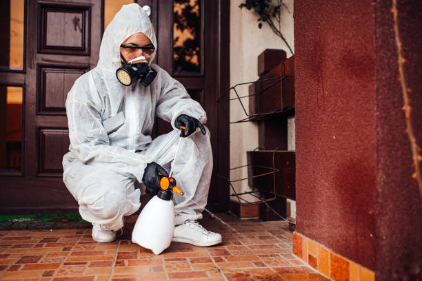 Reliable Bed Bug Control contractor in West Monroe, MI by Nex Pest Control