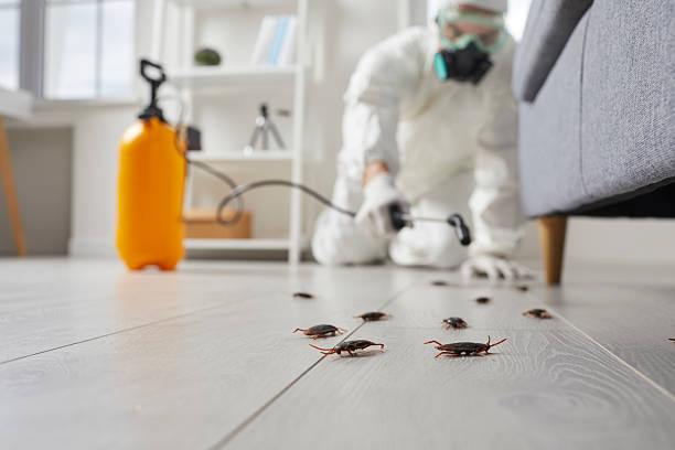 Trusted Cockroach Control service in West Monroe, MI - Nex Pest Control