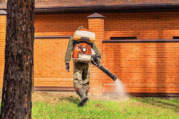 Trusted Termite Control service in West Monroe, MI - Nex Pest Control